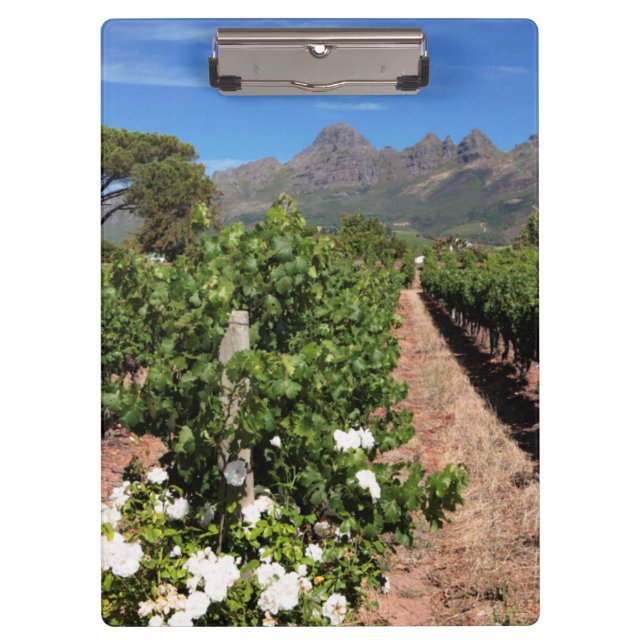 Sicht auf die Weinberge. Stellenbosch Klemmbrett (Vorderseite)