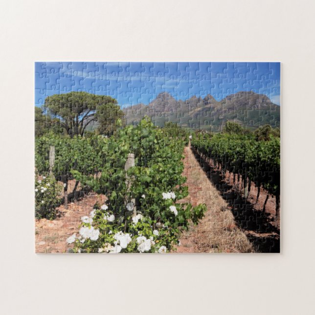 Sicht auf die Weinberge. Stellenbosch Puzzle (Horizontal)