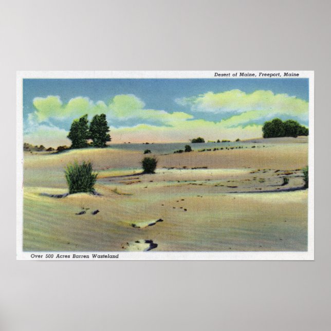 Sicht auf die Wüste Maine Poster (Vorne)