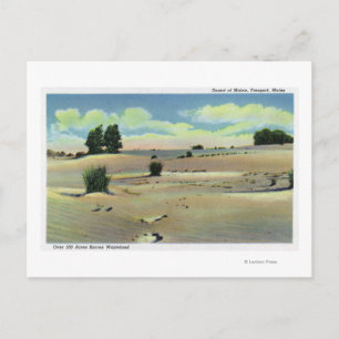 Sicht auf die Wüste Maine Postkarte