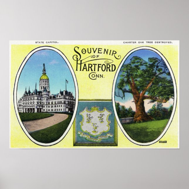 Sicht auf Hauptstadt Bldg und Eichenbaum Poster (Vorne)