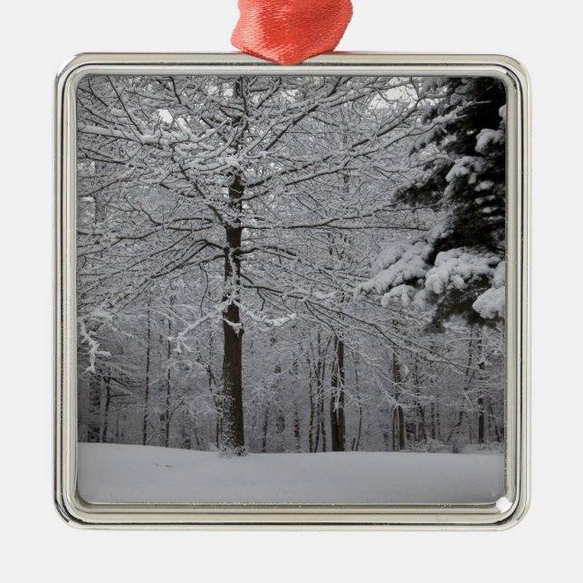 Sicht auf Wälder Ornament Aus Metall (Vorne)