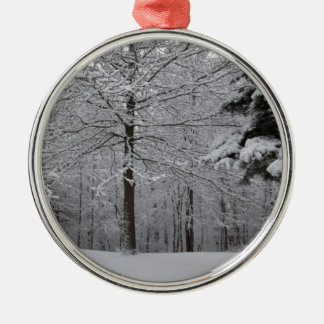 Sicht auf Wälder Silbernes Ornament