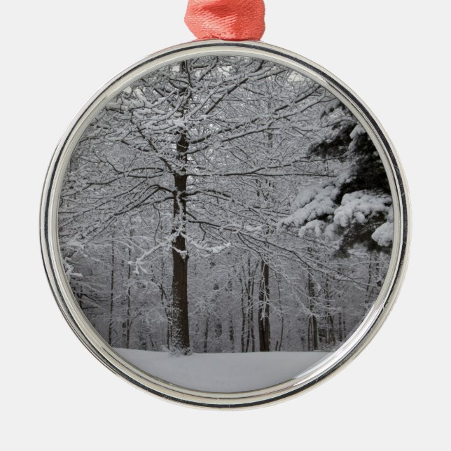 Sicht auf Wälder Silbernes Ornament (Vorne)