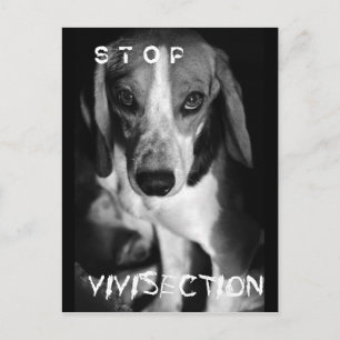 Sichtung stoppen - Postkarte
