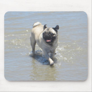 Sid den Mops am Dog Beach, San Diego, CA Mousepad