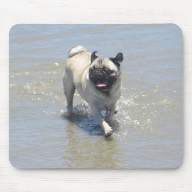 Sid den Mops am Dog Beach, San Diego, CA Mousepad (Vorne)