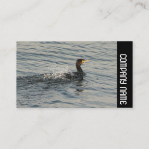 Side Band - Cormorant Learning to Swim Visitenkarte