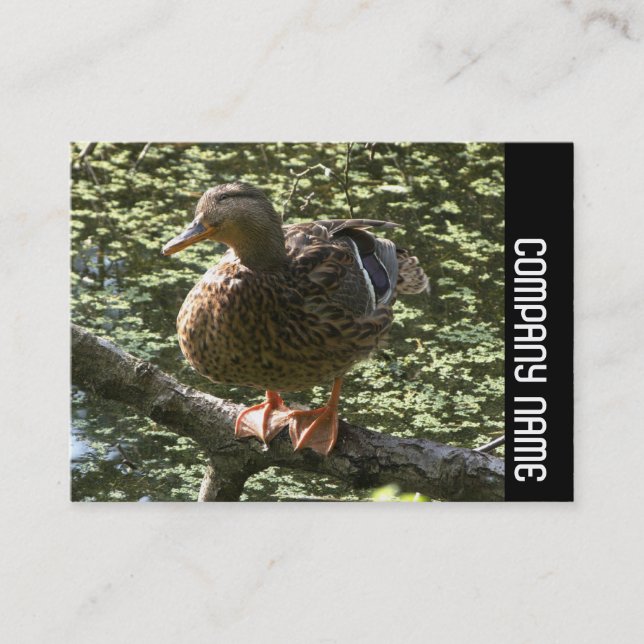 Side Band - Happy Duck Visitenkarte (Vorderseite)