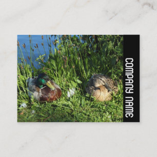 Side Band - Herr und Frau Mallard Visitenkarte