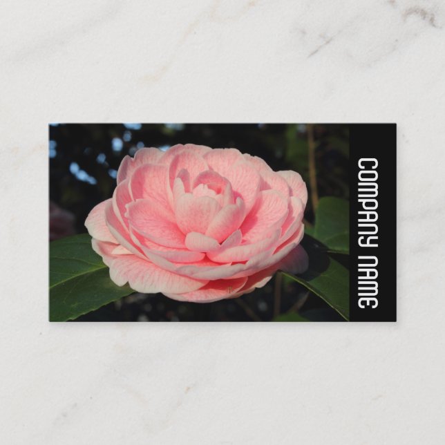 Side Band - Pink Camellia Visitenkarte (Vorderseite)