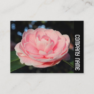 Side Band - Pink Camellia Visitenkarte