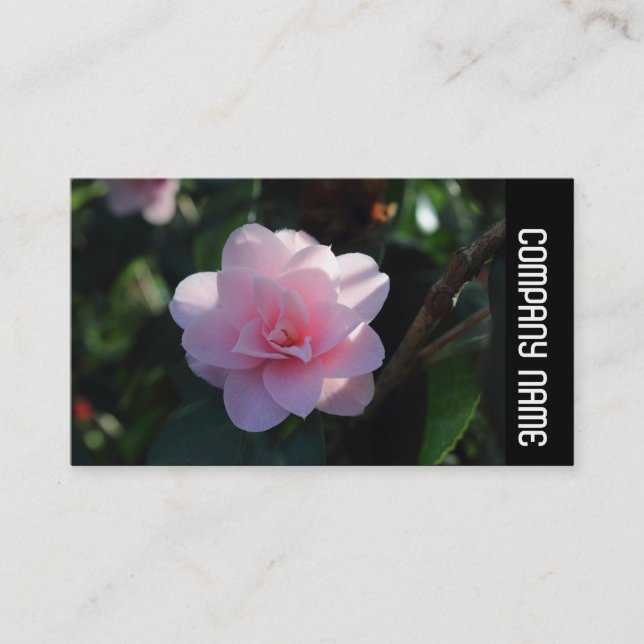 Side Band - Pink Camellia Visitenkarte (Vorderseite)