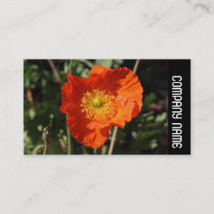 Side Band - Welsh Poppy (Orange) Visitenkarte