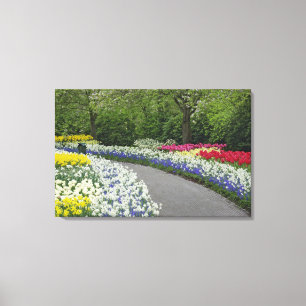 Sidewalk durch Tulpen und Daffodien, Leinwanddruck