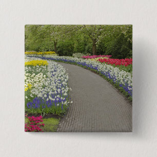Sidewalk durch Tulpen und daffodils, 2 Button