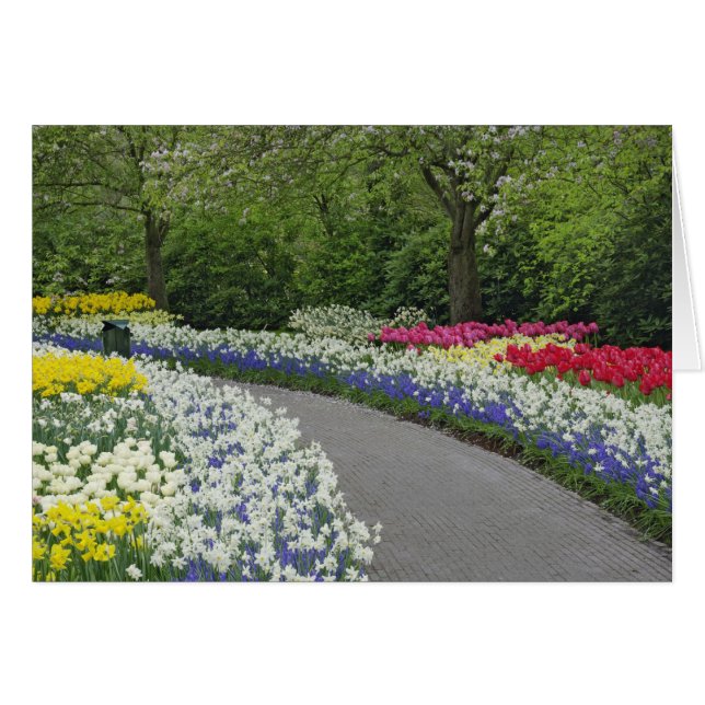 Sidewalk durch Tulpen und Narzissen, (Vorderseite (Horizontal))