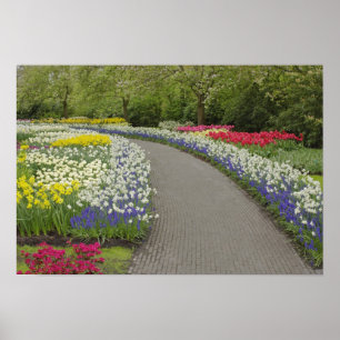 Sidewalk durch Tulpen und Narzissen, 2 Poster