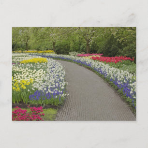 Sidewalk durch Tulpen und Narzissen, 2 Postkarte