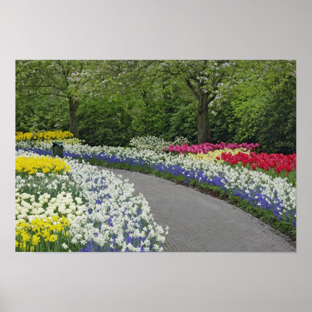 Sidewalk durch Tulpen und Narzissen, Poster (Vorne)