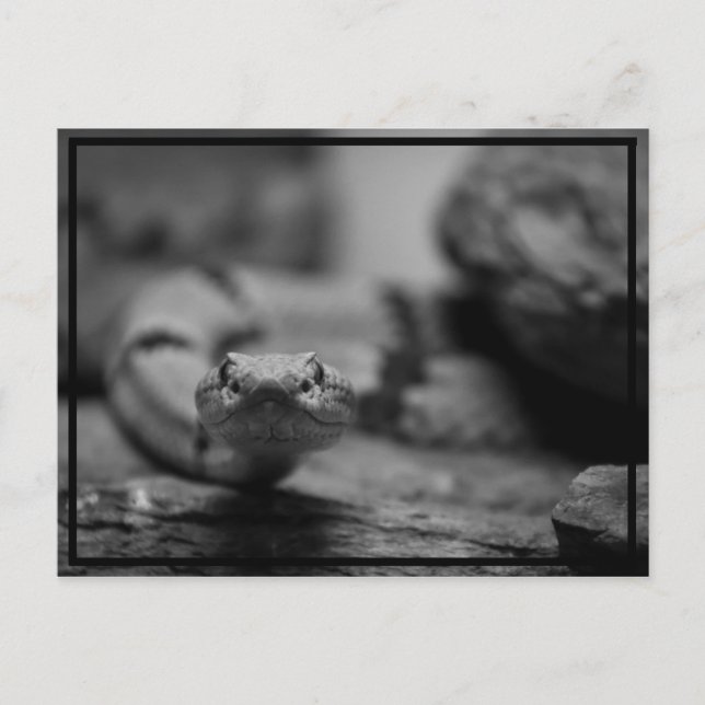 Sie anschauen! postkarte (Vorderseite)