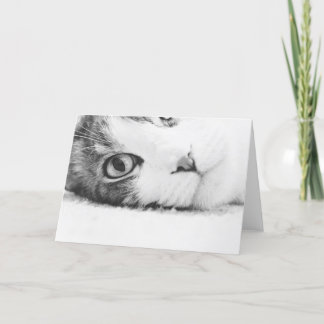 Sie aufpassen, greetingcard leer karte