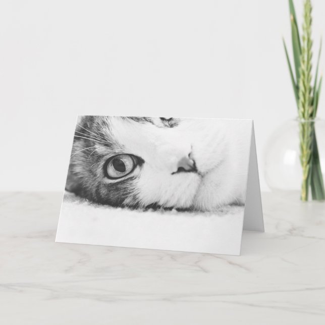 Sie aufpassen, greetingcard leer karte (Vorderseite)