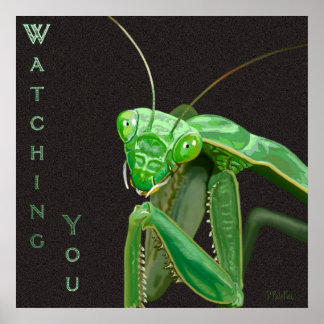 Sie beobachten - Grüne Version Poster