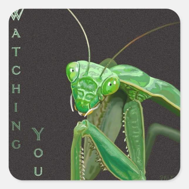 Sie beobachten - Grüne Version Quadratischer Aufkleber (Vorderseite)