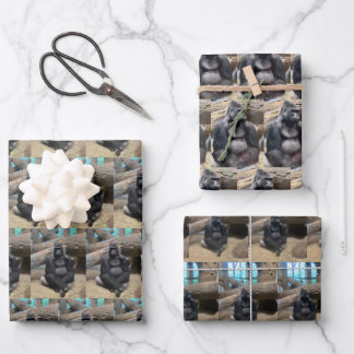 SIE BIG GORILLA GESCHENKPAPIER SET