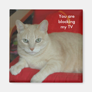 Sie blockieren mein Fernsehen Magnet
