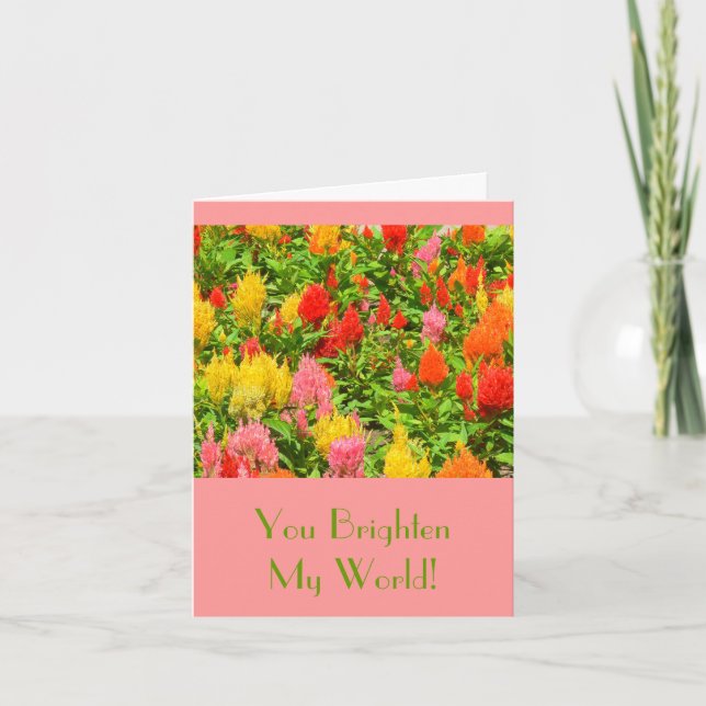 "SIE ERHELLEN MEINE WELT" /ANNIVERSARY KARTE (Vorderseite)