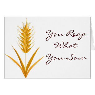 Sie ernten, was Sie Weizen-Karte säen