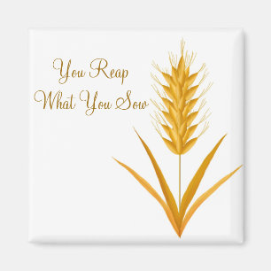 Sie ernten, was Sie Weizen-Magneten säen Magnet