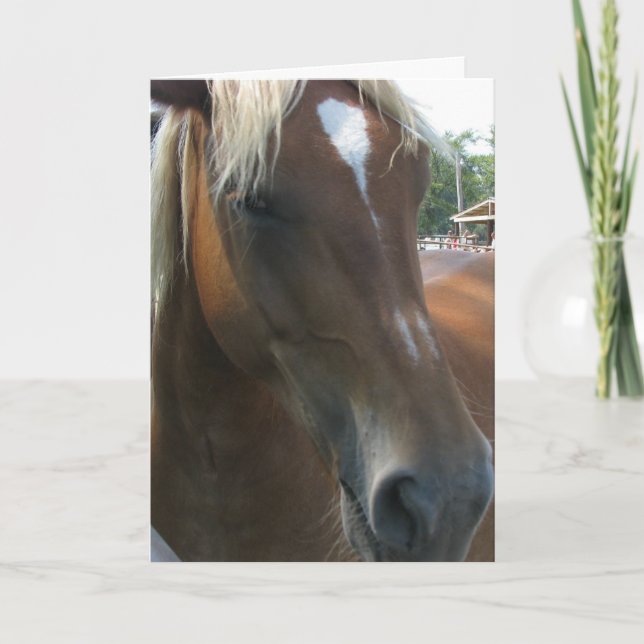 Sie fangen immer mein Auge Feiertagskarte (Vorderseite)