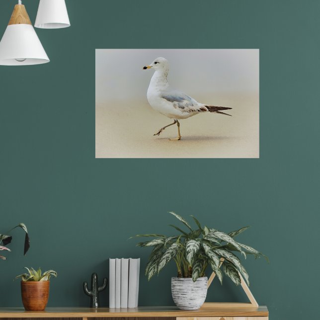 Sie gehen Gull Sea Gull Beach Art Poster (Wohnzimmer 1)