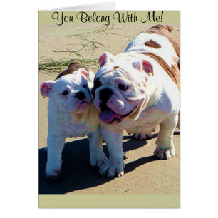 Sie gehören mit mir!