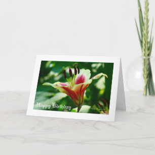 Sie geht in Schönheit.... Karte