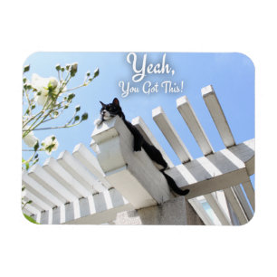Sie Got diesen Cat Motivierend Slogan Magnet
