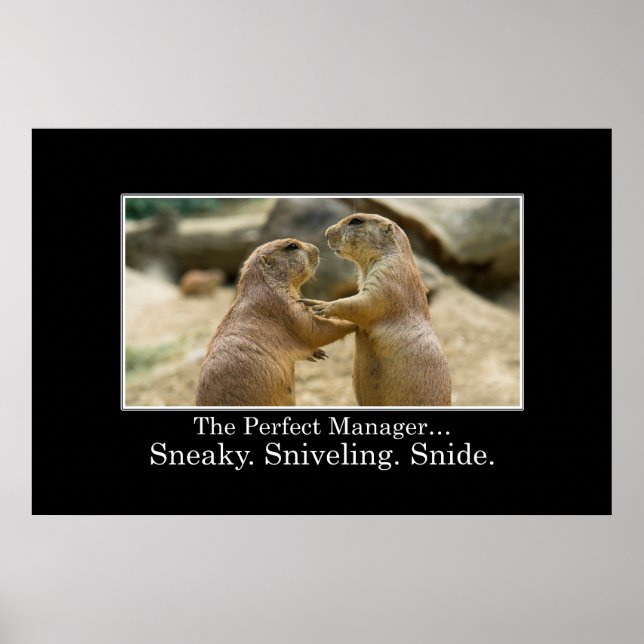 Sie haben alle Qualitäten eines großartigen Manage Poster (Vorne)