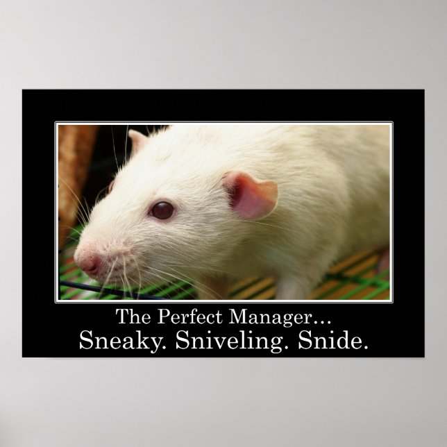 Sie haben alle Qualitäten eines großartigen Manage Poster (Vorne)