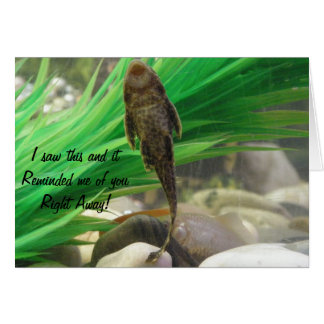 Sie haben die Karte Sind zum Kotzen