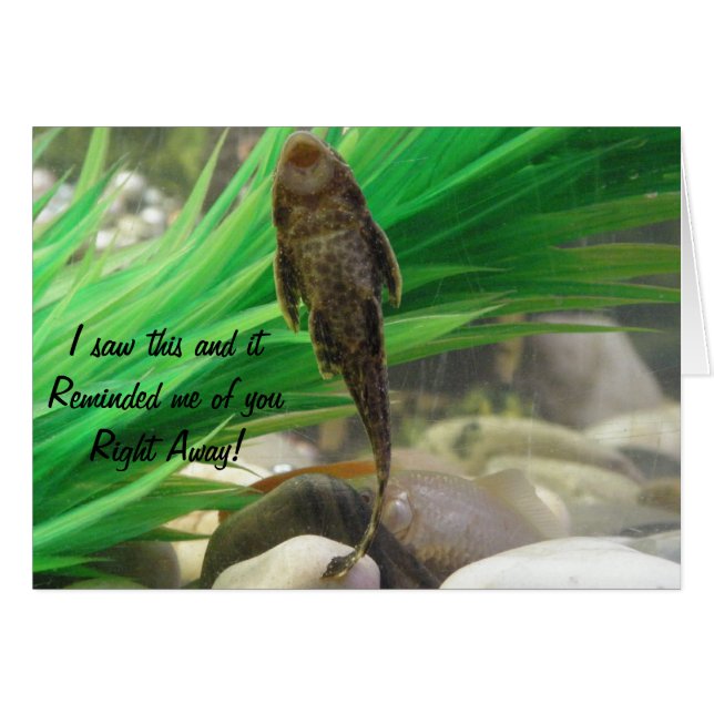 Sie haben die Karte Sind zum Kotzen (Vorderseite (Horizontal))