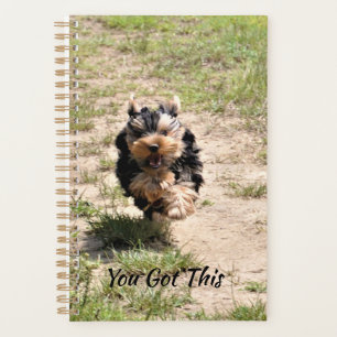 Sie haben diese Niedliche Yorkie Got Planer
