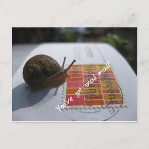 Sie haben eine Schnecke got Postkarte