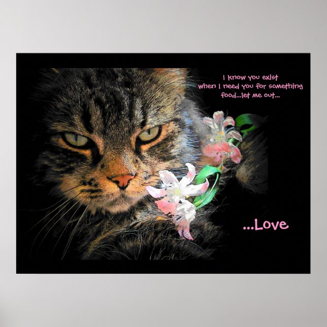 Sie haben für Liebe Kat Haiku Poster (Vorne)