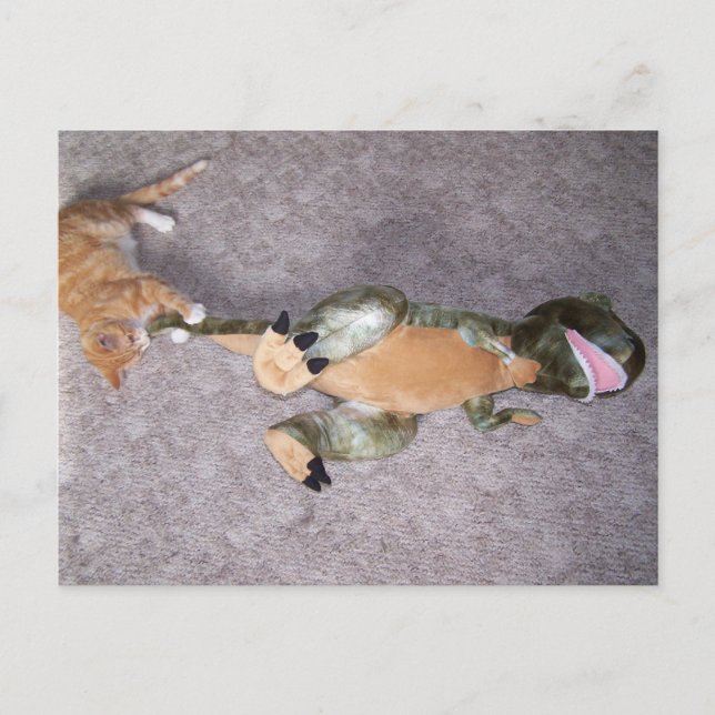 Sie haben mir keine Angst Postkarte (Vorderseite)