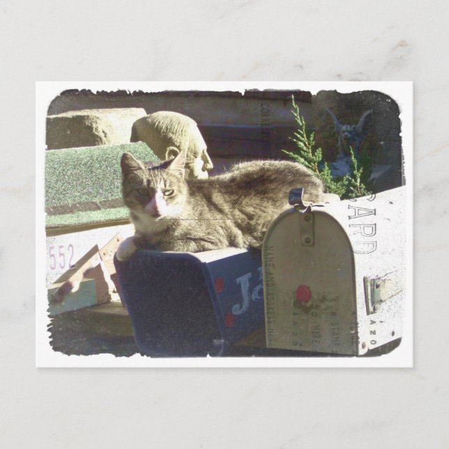 Sie haben Postkarte Got (Vorderseite)