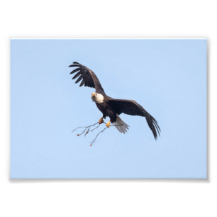 Sie hat einen Stock Fotodruck