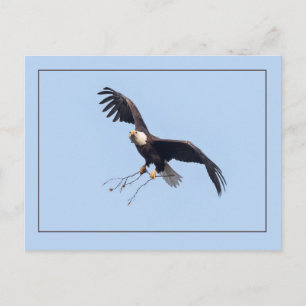 Sie hat einen Stock Postkarte